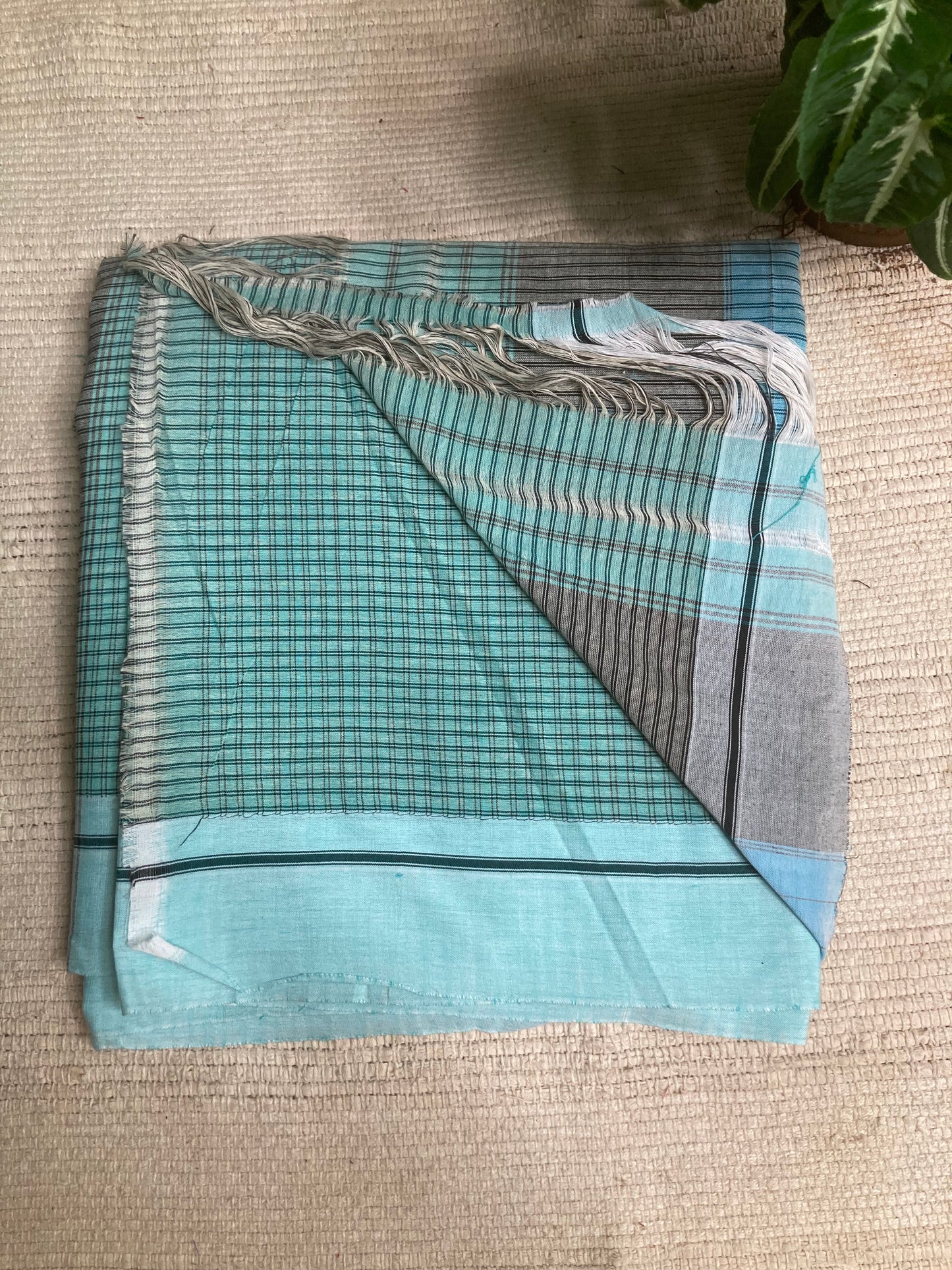 Sky Blue Patteda Anchu Saree