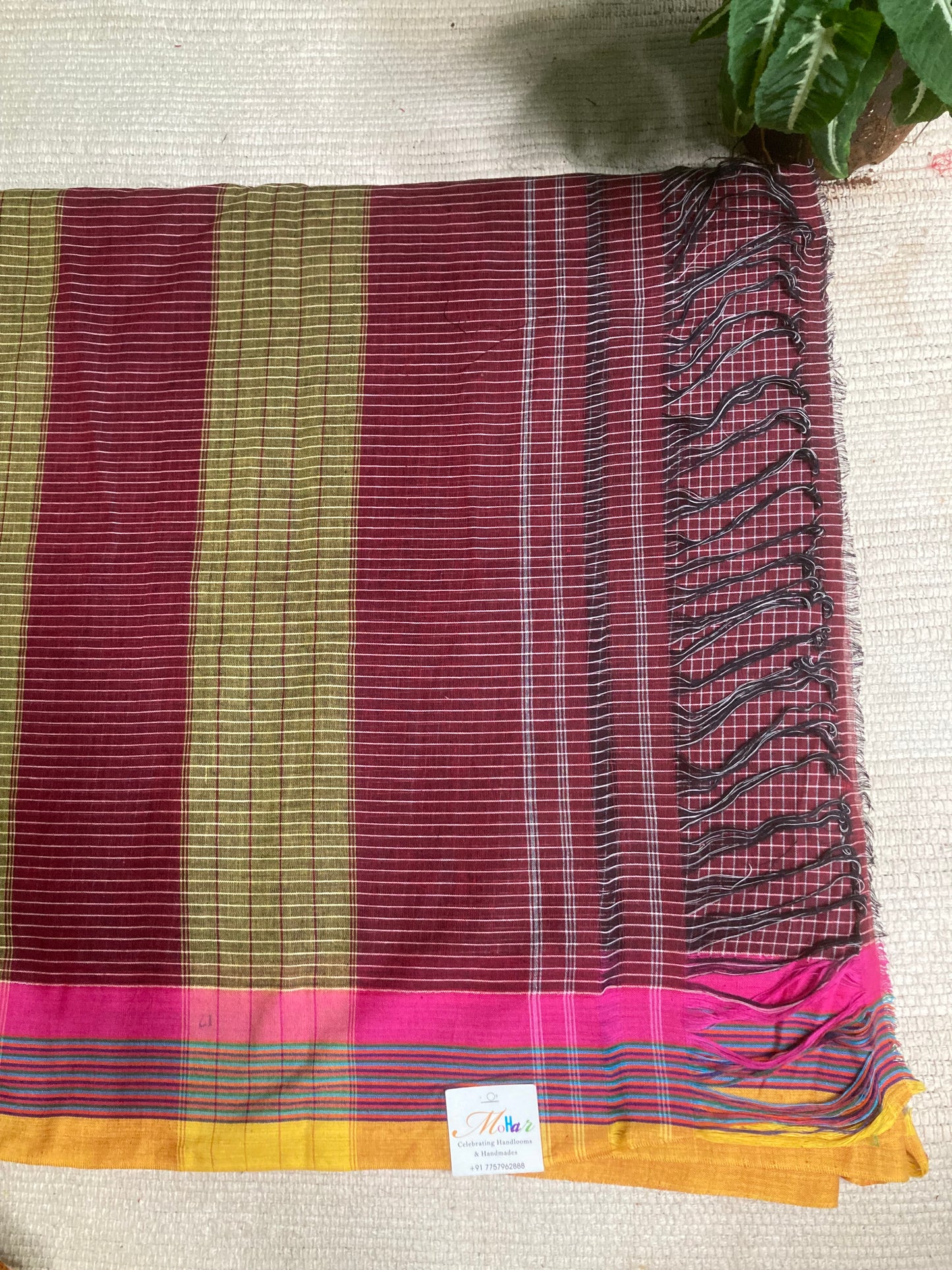 Brunette Brown Patteda Anchu Saree