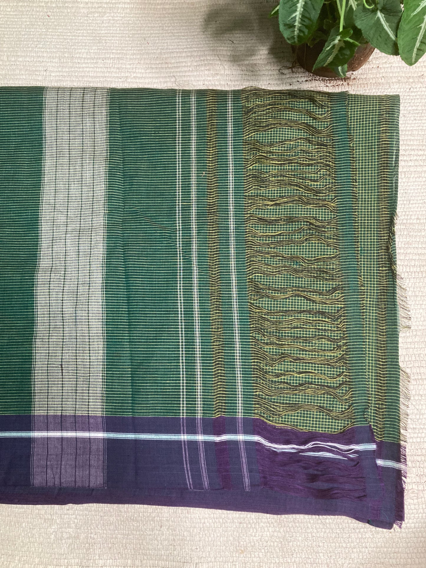 Juniper Green Patteda Anchu Saree