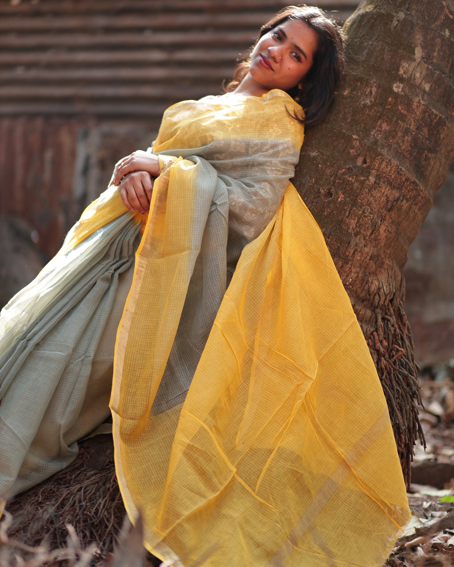 Coin Ombre-Dyed Kota Doria Saree