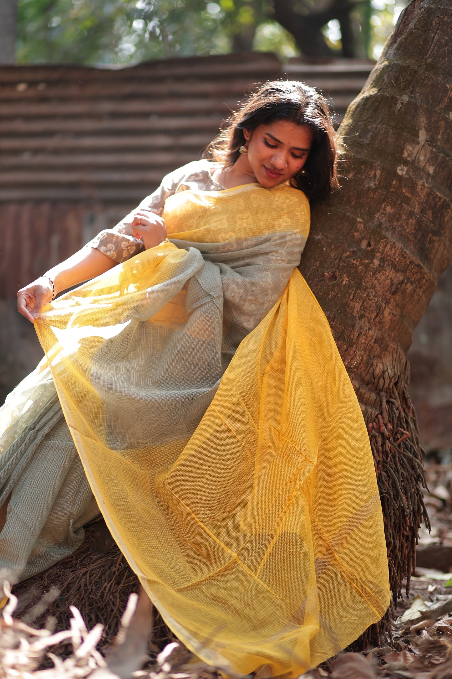 Coin Ombre-Dyed Kota Doria Saree