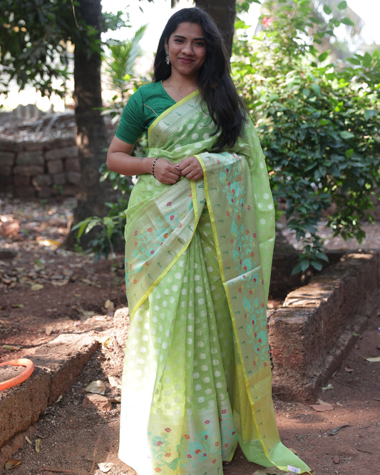 Lime Zari Kota Doria Saree