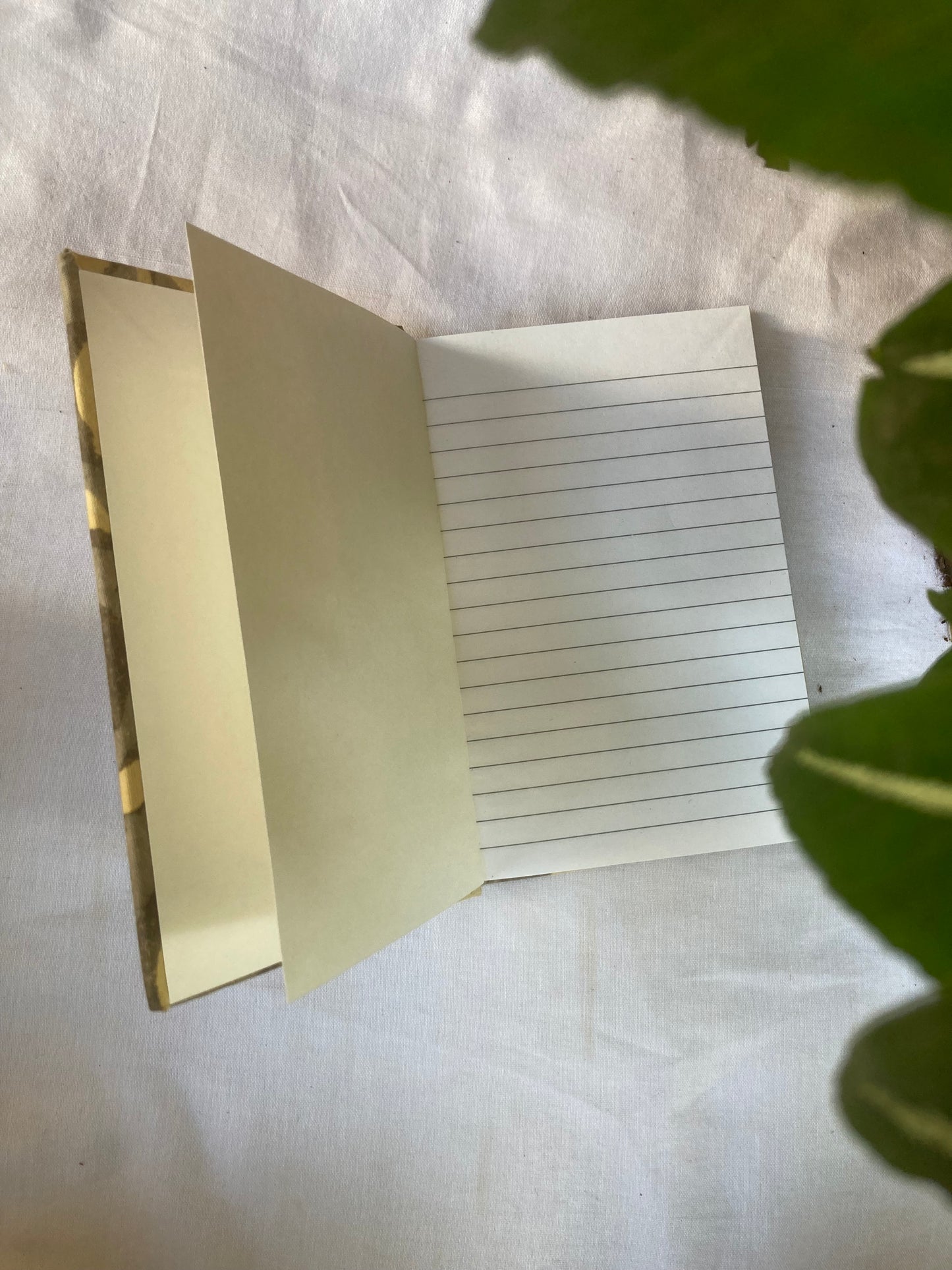 Olive Green Fabric -Covered Dairy