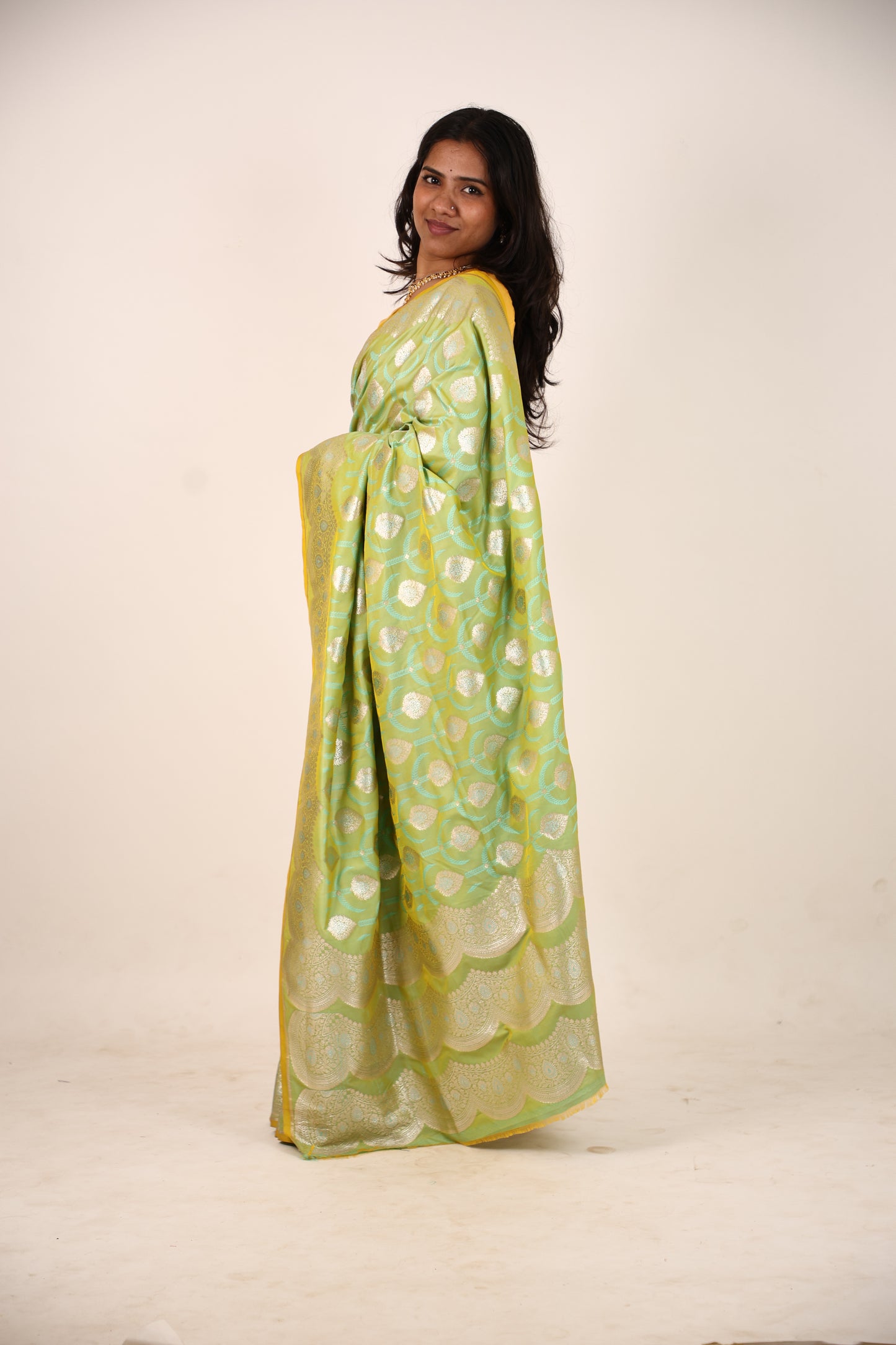 Light Green Banarasi Sari