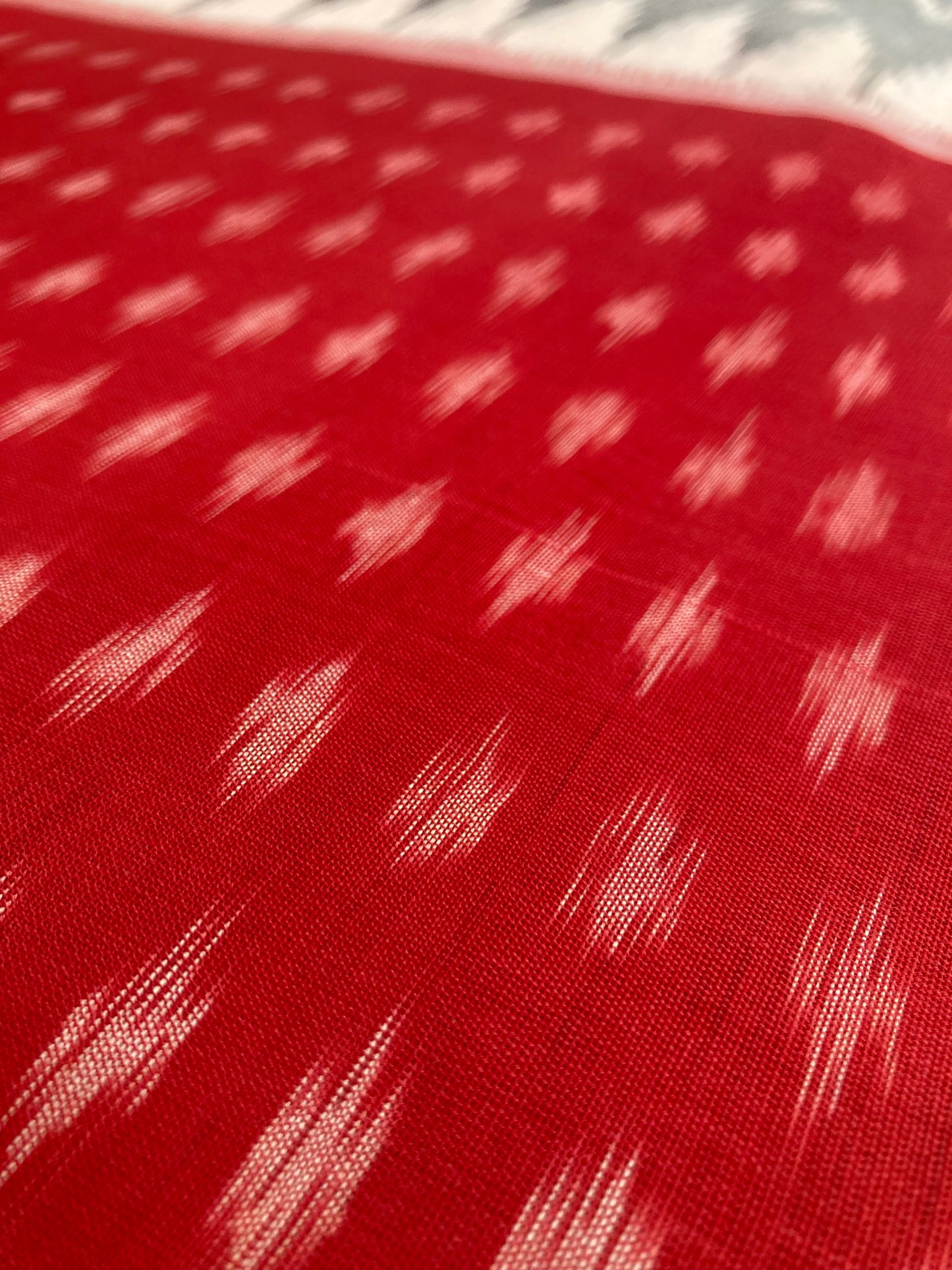 Fog Gray Pochampally Ikkat saree