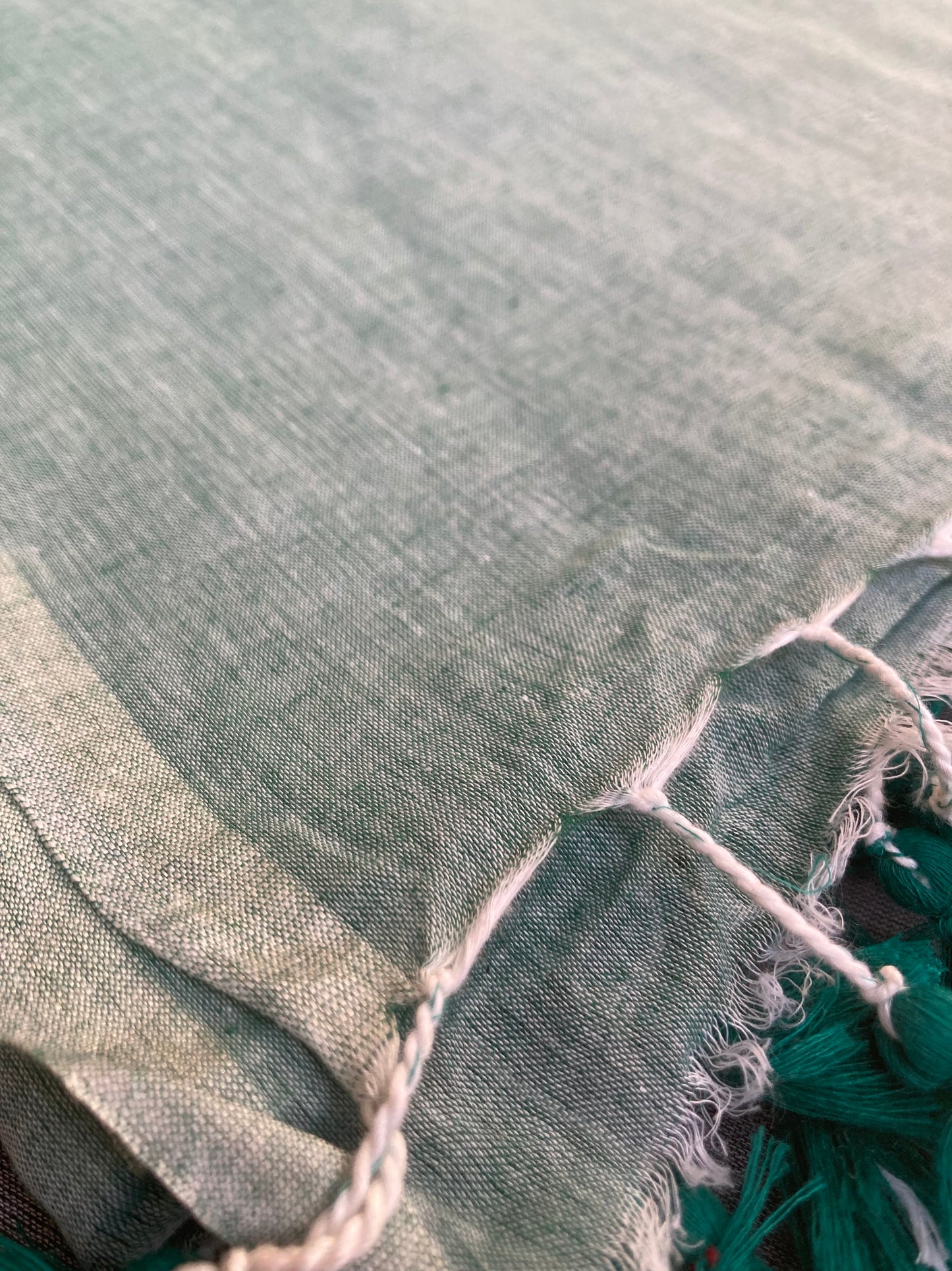 Cyan Green Mul Cotton Saree