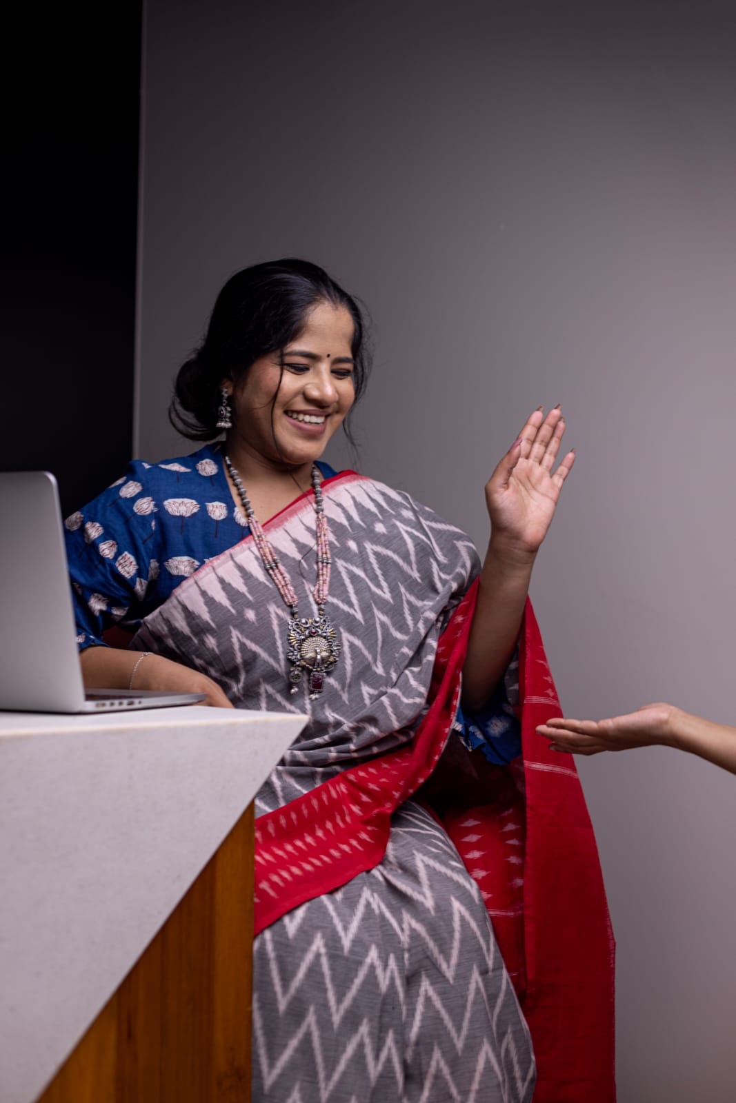 Fog Gray Pochampally Ikkat saree